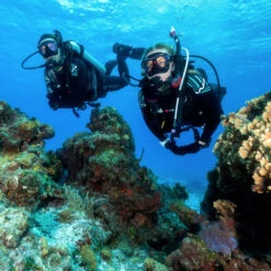 TUSA Paragon Mask, Two Lens -Aqua Dive Shop 002 tusa 62422.1647017262