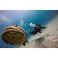 ScubaPro Galileo HUD Computer With Smart Pro Transmitter -Aqua Dive Shop 1103453 alt13 07022.1654802096