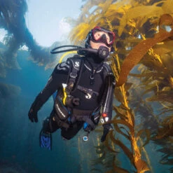 ScubaPro Level BCD With BPI 13 ScubaPro Level BCD With BPI -Aqua Dive Shop Scubapro level bcd 7 67488.1686841195