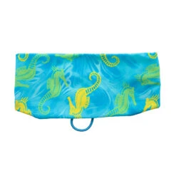 Dive Buddy Originals Swimbands -Aqua Dive Shop dive buddy band seahorses 52398.1638971465